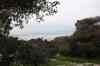 201001260323m.jpg - 2010:01:26 14:17:08