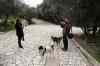 201001260361m.jpg - 2010:01:26 14:58:22