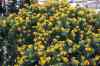 201001260367m.jpg - 2010:01:26 15:04:24