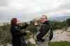 201001260371m.jpg - 2010:01:26 15:07:04