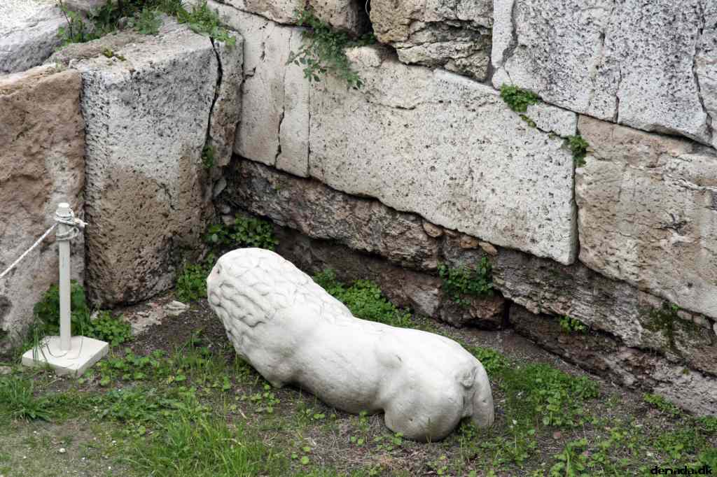 * Image 141