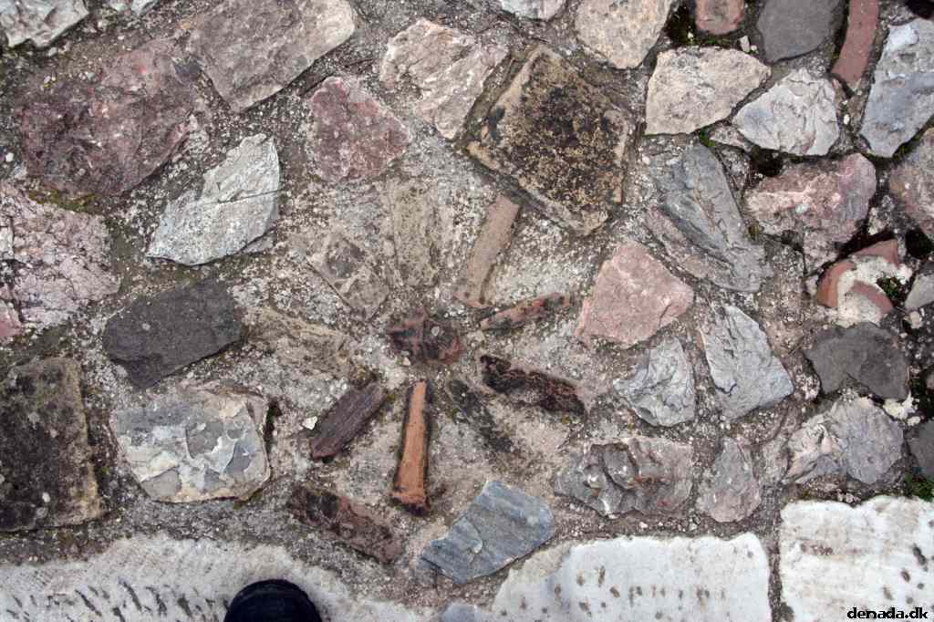 * Image 242