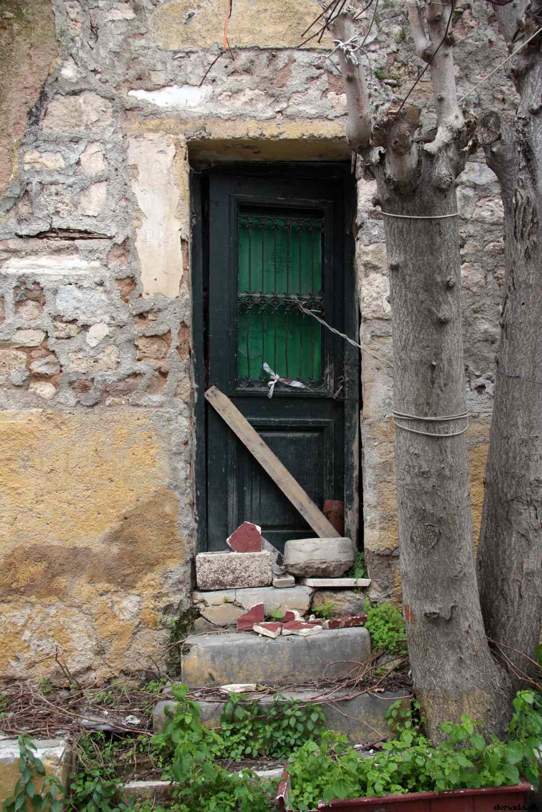 * Image 195