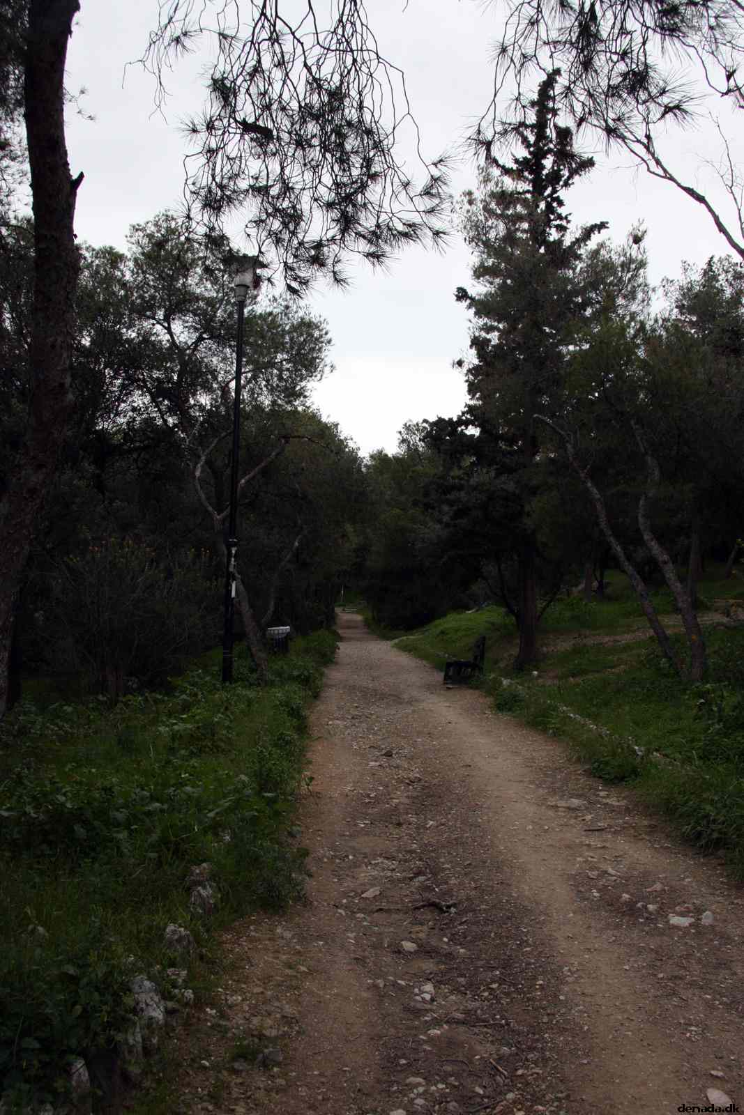 * Image 231