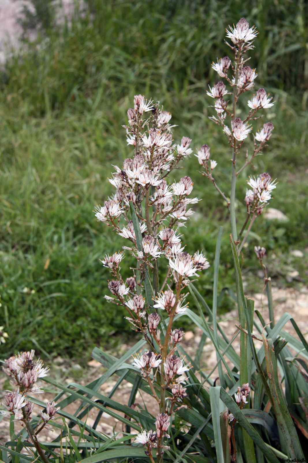 * Image 269