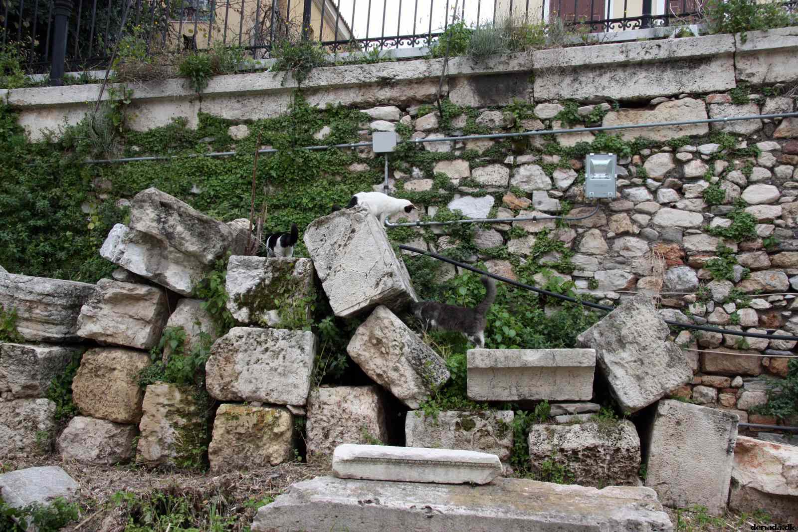 * Image 152