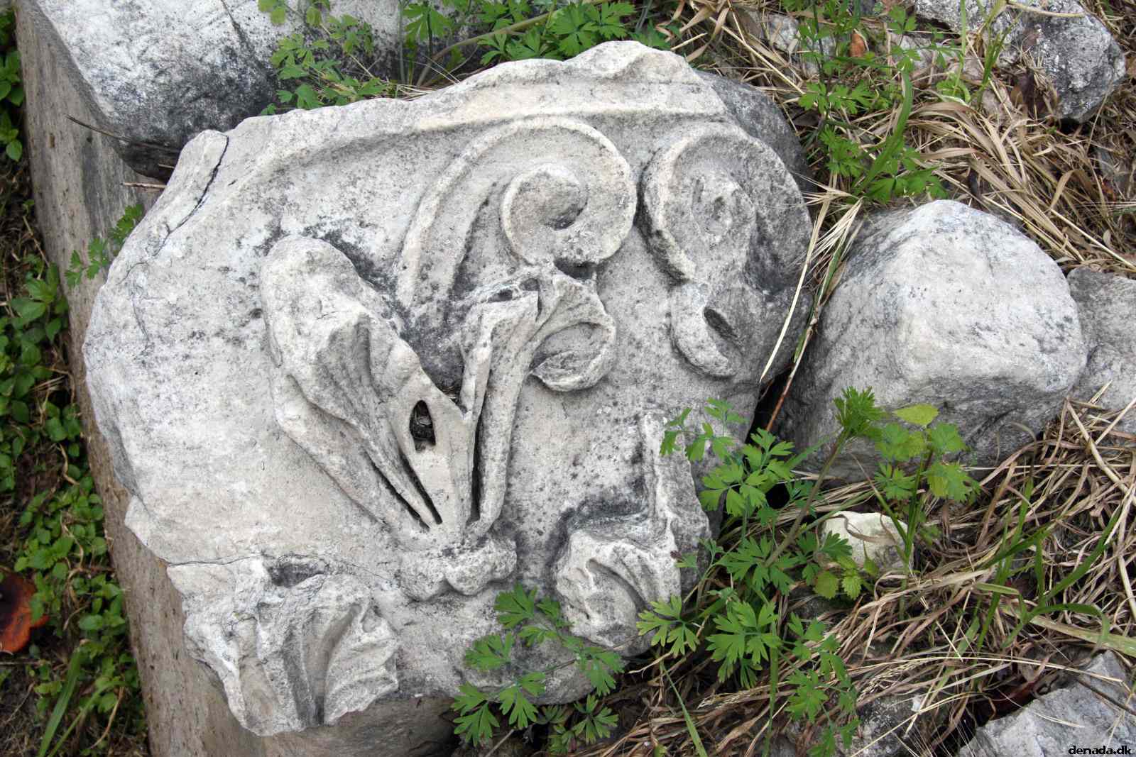* Image 156