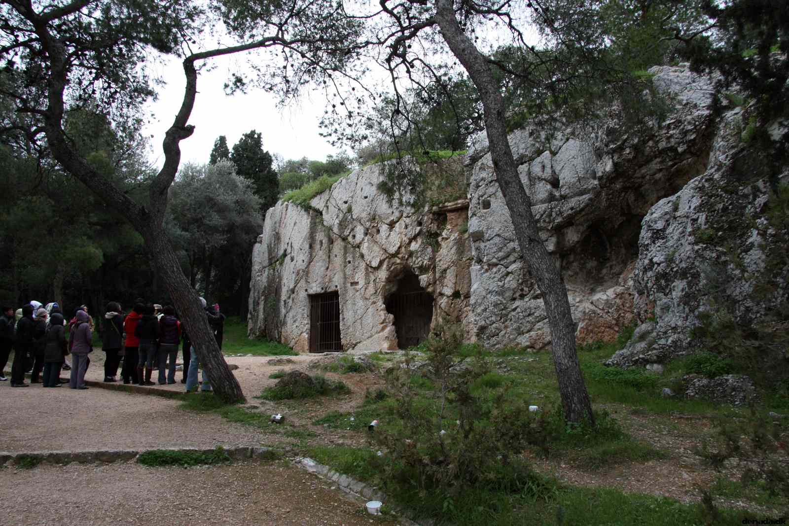 * Image 230