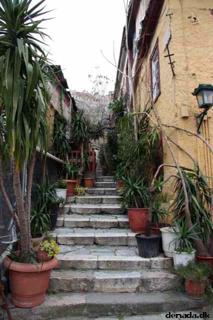 * Image 183