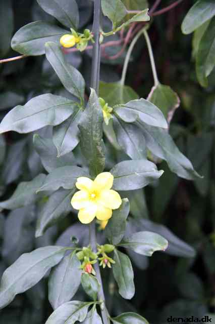 * Image 205