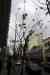 201001260021m.jpg - 2010:01:26 10:03:39