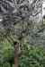 201001260181m.jpg - 2010:01:26 12:24:28