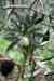 201001260182m.jpg - 2010:01:26 12:24:35