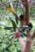201001260184m.jpg - 2010:01:26 12:25:01