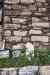 201001260211m.jpg - 2010:01:26 12:41:45
