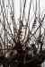 201001260251m.jpg - 2010:01:26 13:05:02