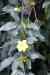 201001260254m.jpg - 2010:01:26 13:09:59