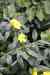 201001260255m.jpg - 2010:01:26 13:10:06