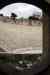 201001260273m.jpg - 2010:01:26 13:43:33