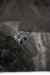 201001260276m.jpg - 2010:01:26 13:45:27