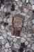 201001260303m.jpg - 2010:01:26 14:10:52