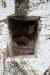201001260333m.jpg - 2010:01:26 14:22:18