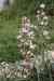 201001260348m.jpg - 2010:01:26 14:37:21