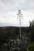 201001260357m.jpg - 2010:01:26 14:45:04