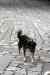 201001260360m.jpg - 2010:01:26 14:58:18