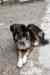 201001260363m.jpg - 2010:01:26 15:00:51
