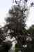 201001260364m.jpg - 2010:01:26 15:02:20