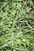 201001260382m.jpg - 2010:01:26 15:17:12