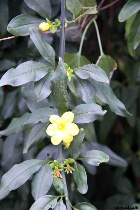 * Image 205