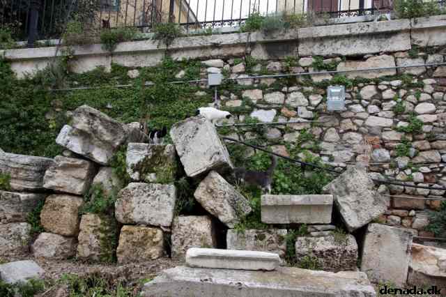 * Image 152