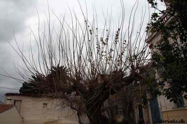 * Image 201