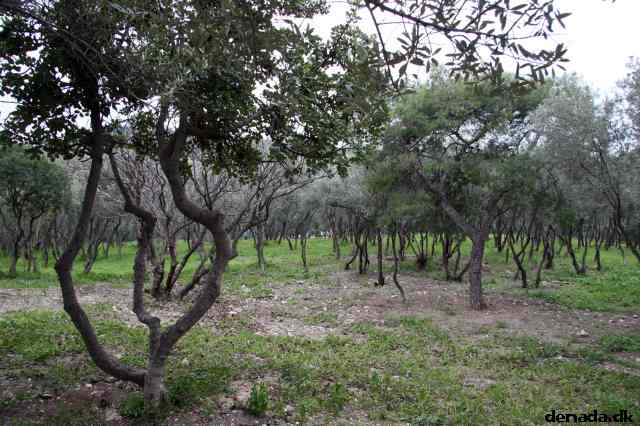 * Image 213