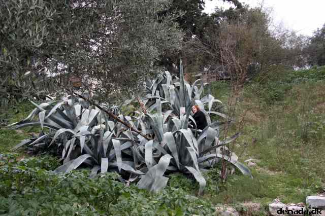 * Image 216