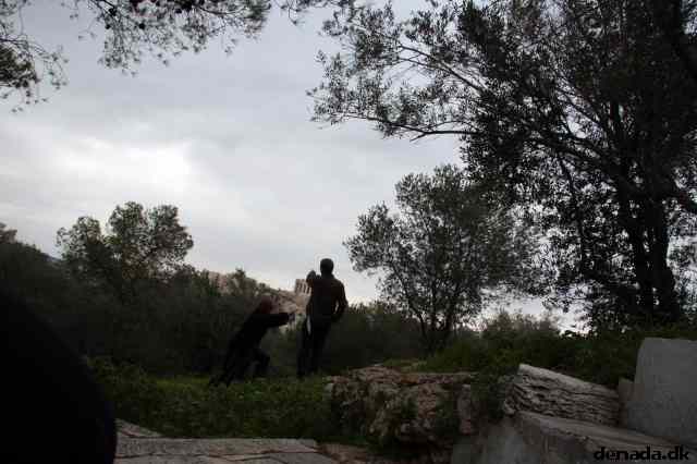 * Image 233