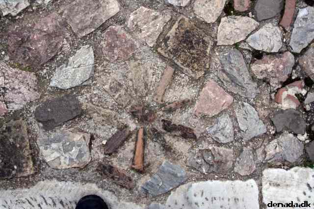 * Image 242