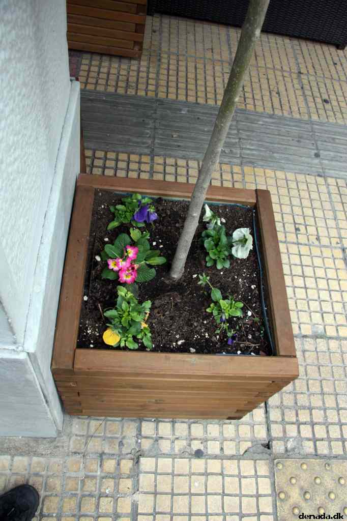 * Image 14