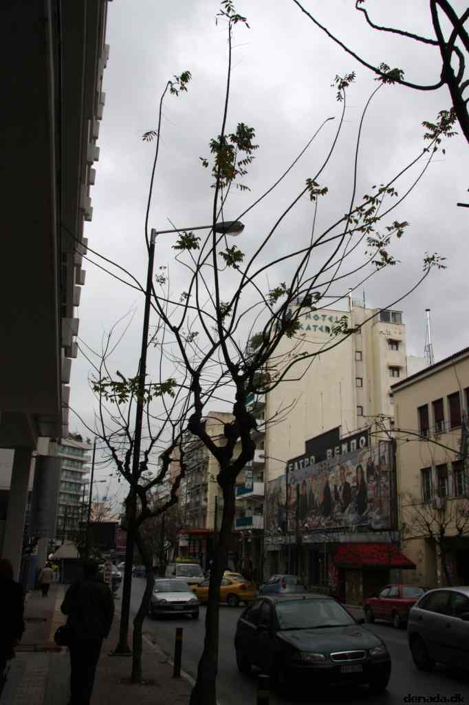 * Image 15