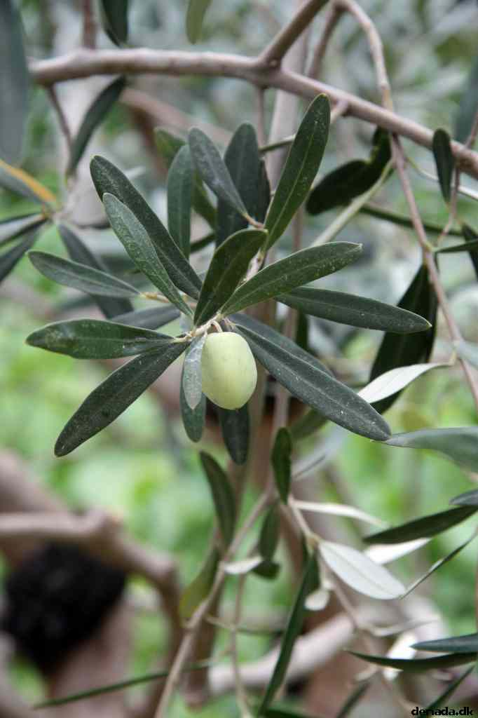* Image 145