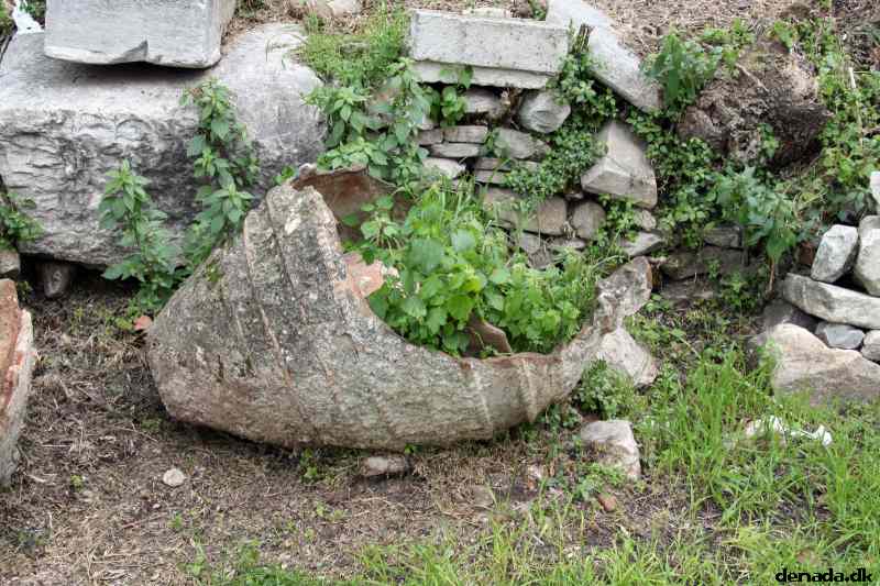 * Image 155
