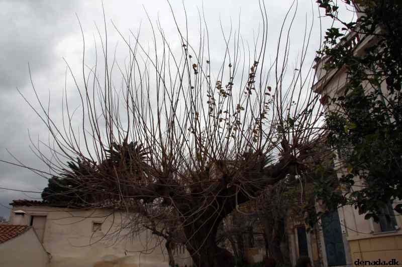 * Image 201
