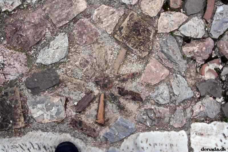 * Image 242