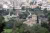 201001270589m.jpg - 2010:01:27 11:10:32