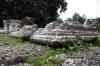 201001270635m.jpg - 2010:01:27 12:51:50
