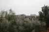 201001270662m.jpg - 2010:01:27 13:22:41