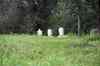 201001270670m.jpg - 2010:01:27 13:27:09