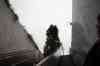 201001270702m.jpg - 2010:01:27 15:06:54